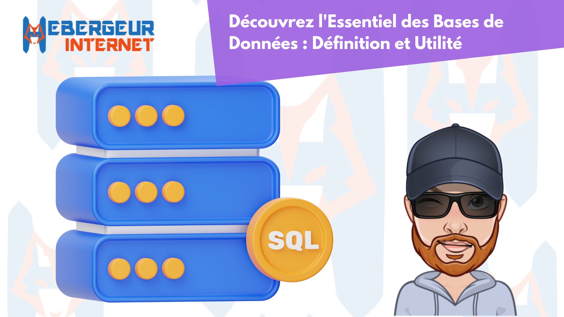 l'essentiel des bases de données, définition et utilité